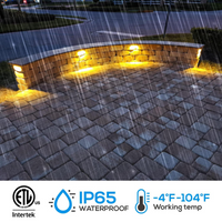 ELA06 8-Pack 7 Inch 4.5W 2700K/5000K LED Retaining Wall Lights, Hardscape Color Changing 12V Low Voltage Landscape Lights