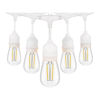 SL101 3000K Warm White LED Low Voltage Bistro String Lights 48 FT Outdoor Weatherproof 12V Edison Bulbs