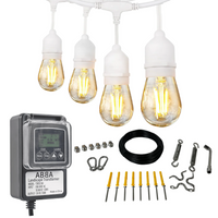 SL101 LED Low Voltage Bistro String Lights 48 FT Outdoor Weatherproof 12V Edison Bulbs with 100W DC Transformer and 55ft Hanging Kit Package Deal