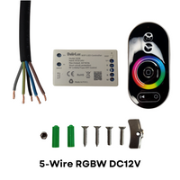 PL54 Pool and Spa RGB/RGBW Color Changing 12V Stainless Steel Low Voltage Light IP68