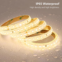 Luz de tira RGB 5050 4.4W/ft DC12V Bajo voltaje LED Exterior IP65 UL SMD Luz de cinta
