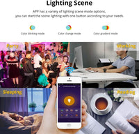 MR16 RGBCW 2700K-6000K 5W Smart WIFI LED Light Bulb, Energy Saving Color Changing 12V Outdoor LED Bulb Compatible with Alexa, Google Assistant, and Siri