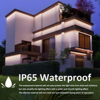 SL15 Ultra Bright Single-Color 3000K/4000K/5000K LED Dimmable Strip Light, 7.31W/ft 16.4ft SMD 2835 Strip Lights IP65 Waterproof Low Voltage 10mm DC24V Super Bright Tape Light