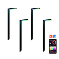 CDPSR58 4x/8x/12x Package Wi-Fi Smart RGBCW 3W Stainless Steel Directional Pathway Light LED 12V Low Voltage Bollard Landscape Lighting
