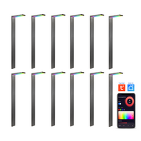CDPSR58 4x/8x/12x Package Wi-Fi Smart RGBCW 3W Stainless Steel Directional Pathway Light LED 12V Low Voltage Bollard Landscape Lighting