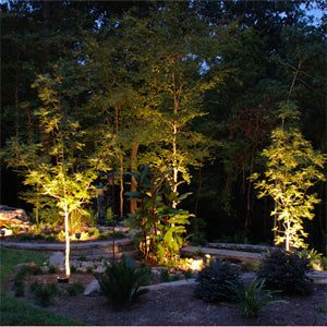 SPB06-Outdoor-Brass-Spot-Light-for-lighting-trees