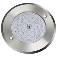PL15 Jacuzzi Spa RGB/RGBW Color Changing 12V Low Voltage Light Stainless Steel IP68