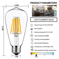 E26 6W 12V-36V 2700K/3000K/6000K AC/DC LED Filament Edison Bulbs Package Dimmable Energy Saving Low Voltage Light Bulb
