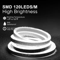 SLN06 Dotless Neon LED Strip Light 110-130V 8mm (W) x 16mm (H) IP65 Outdoor Rated Dimmable High Voltage Silicone Strip Light with Mounting Clips, Screws with Power Cable