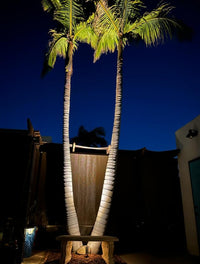 SPBP05 Stelvio Black Brass Spotlight Low Voltage Landscape Lighting 12V