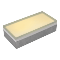 CRG31 Low Voltage In Ground RGB or WW LED Brick Paver Light Rectangle IP67 Waterproof - Kings Outdoor Lighting