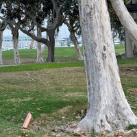 SPBP01 Cuprum Copper Spotlight Low Voltage Outdoor Lighting