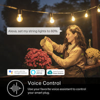 Outdoor Dimmable Smart Plug Single Socket, Smart Home Wi-Fi Outlet Timer