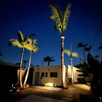 SPBP05 Stelvio Black Brass Spotlight Low Voltage Landscape Lighting 12V