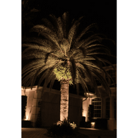 CD30 30W Low Voltage LED Ground Spotlight Directional Narrow Beam Angle.