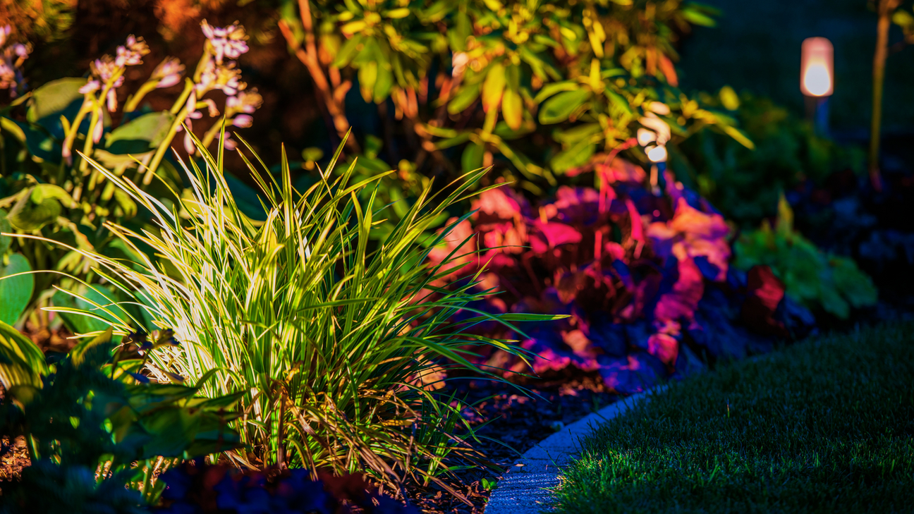 Selecting Plants for Your Landscape Design
