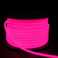 SLN11 Dotless Neon LED Strip Light 360° 120V IP67 Outdoor Rated Dimmable High Voltage Slim 16x16mm Silicone Strip Light with Holder, IR Remote, and Adapter with Power Supply