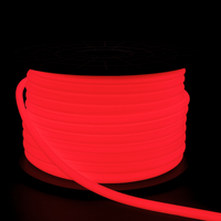 SLN11 Dotless Neon LED Strip Light 360° 120V IP67 Outdoor Rated Dimmable High Voltage Slim 16x16mm Silicone Strip Light with Holder, IR Remote, and Adapter with Power Supply