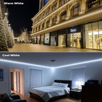 SLNR16 Dotted Neon RGBIC+CCT LED Strip Light 110V IP65 Outdoor Rated Dimmable High Voltage Flat Flexible Strip Light , Mounting Brackets, End Cap, Screws, Remote Control and Power Supply