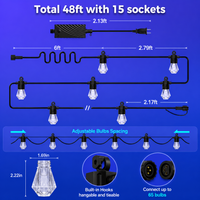 Outdoor Landscape Lighting LED 12V Low Voltage SLR103 LED RGBWIC Smart Bistro Acrylic String Lights Color Changing Outdoor Weatherproof 24V Edison Bulbs 48 FT - 15 Bulbs