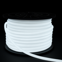 SLN11 Dotless Neon LED Strip Light 360° 120V IP67 Outdoor Rated Dimmable High Voltage Slim 16x16mm Silicone Strip Light with Holder, IR Remote, and Adapter with Power Supply