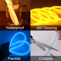 SLN11 Dotless Neon LED Strip Light 360° 120V IP67 Outdoor Rated Dimmable High Voltage Slim 16x16mm Silicone Strip Light with Holder, IR Remote, and Adapter with Power Supply