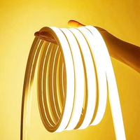 SLN12 Dotless Neon Soft Silicone Vertical Bending LED Strip Light 10x10mm 2.44W/ft DC12V IP68 16.4ft with Screws and Mounting Clips