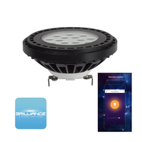 PAR36 10W 160° LED Bombillas de bajo voltaje Proyector de paisaje impermeable