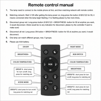 Outdoor Landscape Lighting LED 12V Low Voltage RGBCW Remote Control for E27 RGBW LED Bulbs Light Bulb And Other Compatible Fixtures