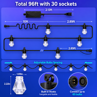 Outdoor Landscape Lighting LED 12V Low Voltage SLR103 LED RGBWIC Smart Bistro Acrylic String Lights Color Changing Outdoor Weatherproof 24V Edison Bulbs 96 FT - 30 Bulbs