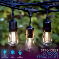 SL101 3000K Warm White LED Low Voltage Bistro String Lights 48 FT Outdoor Weatherproof 12V Edison Bulbs