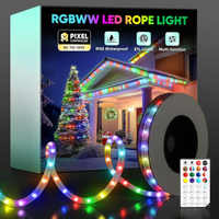 SLNR17 Dotted Neon RGBIC+CCT LED Strip Light 110V IP65 Outdoor Rated Dimmable High Voltage Flexible Rope Light , Mounting Clips, End Cap, Screws, Remote Control and Power Supply