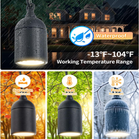 HLA06 2-Pack Low Voltage Black Rounded Pendant with MR16 3W 300LM 3000K Warm White LED Aluminum Light Hanging Patio Light Package