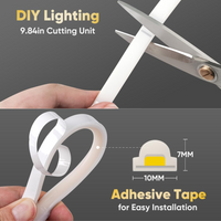 SLN10 Dotless Neon LED Strip Light 110-130V 3W/ft IP65 Outdoor Rated Dimmable High Voltage Slim 7x10mm Silicone Strip Light with Mounting Clips, Connector and Screws with Power Supply