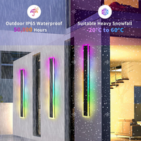 SCH16 2-Pack RGB-IC Tunable White 39.4 Inch LED Rectangular Modern Outdoor Wall Sconce Light Dimmable 120V Line Voltage IP65