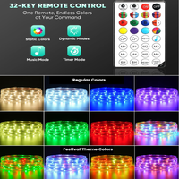 SLNR16 Dotted Neon RGBIC+CCT LED Strip Light 110V IP65 Outdoor Rated Dimmable High Voltage Flat Flexible Strip Light , Mounting Brackets, End Cap, Screws, Remote Control and Power Supply