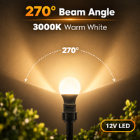 E26 6W 12V-24V 3000K/5000K 600LM AC/DC LED Shatterproof Bulbs 6-Pack Non-Dimmable Energy Saving Low Voltage Light Bulb