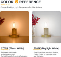 E12 4W Filament 12V AC/DC Candelabra and Small Base Package Low Voltage LED Light Bulbs Dimmable Energy Saving Light Bulb