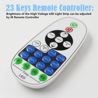 SLN11 Dotless LED 360° Neon Strip Power Adapter with IR Remote and Receiver