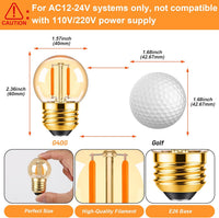 Outdoor Landscape Lighting LED 12V Low Voltage E26 1W 100LM 12V-24V 2200K Amber AC/DC LED Filament Edison 6-Pack Bulbs Package Energy Saving Low Voltage Light Bulb