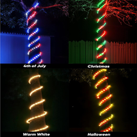 SLNR17 Dotted Neon RGBIC+CCT LED Strip Light 110V IP65 Outdoor Rated Dimmable High Voltage Flexible Rope Light , Mounting Clips, End Cap, Screws, Remote Control and Power Supply