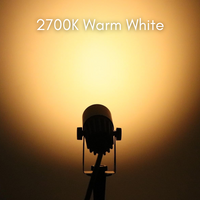 CDA01 2 and 4 Pack 2W 200LM MR11 2700K LED Outdoor Mini Spotlight Directional Narrow Beam Angle Low Voltage Landscape Lighting