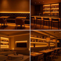 SLD24 Dotless Linear LED Dimmable, 5W/ft 16.4ft COB Strip Lights IP20 Low Voltage 10mm DC24V with Strong 3M VHB Adhesive Tape