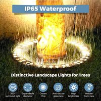 Outdoor Landscape Lighting LED 12V Low Voltage CDA72 72W DC 24V Low Voltage 3000K Warm White LED Outdoor Aluminum Outdoor Ring Tree Lights Landscape Lighting with Transformer Included