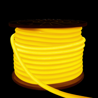 SLN11 Dotless Neon LED Strip Light 360° 120V IP67 Outdoor Rated Dimmable High Voltage Slim 16x16mm Silicone Strip Light with Holder, IR Remote, and Adapter with Power Supply