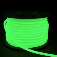 SLN11 Dotless Neon LED Strip Light 360° 120V IP67 Outdoor Rated Dimmable High Voltage Slim 16x16mm Silicone Strip Light with Holder, IR Remote, and Adapter with Power Supply