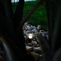 SPBP04 Rein Brown Brass Spot Light Low Voltage Outdoor Lighting