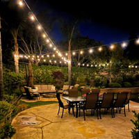 SL101 3000K Warm White LED Low Voltage Bistro String Lights 48 FT Outdoor Weatherproof 12V Edison Bulbs