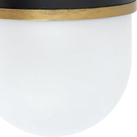 Brian Patrick Flynn Capsule 1 Light Outdoor Sconce 6