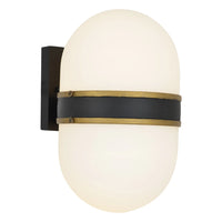 Brian Patrick Flynn Capsule 2 Light Outdoor Sconce 8